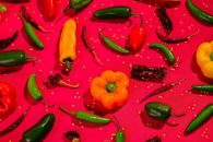 A vibrant collection of assorted chillies and bell peppers on a red background.