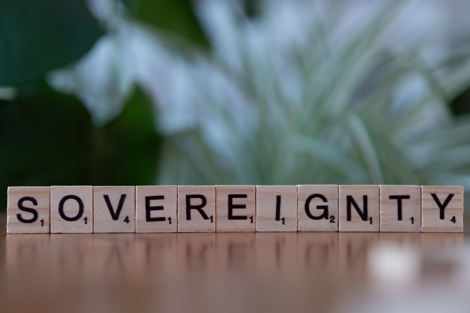 Wooden Scrabble tiles spelling out 'Sovereignty' on a blurred natural background.