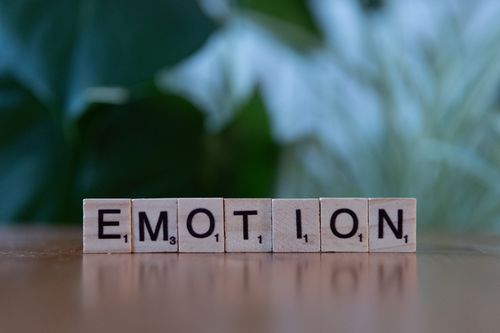 Miễn phí Những ô gỗ xếp chữ 'Cảm xúc' với nền mờ tự nhiên. Ảnh lưu trữ