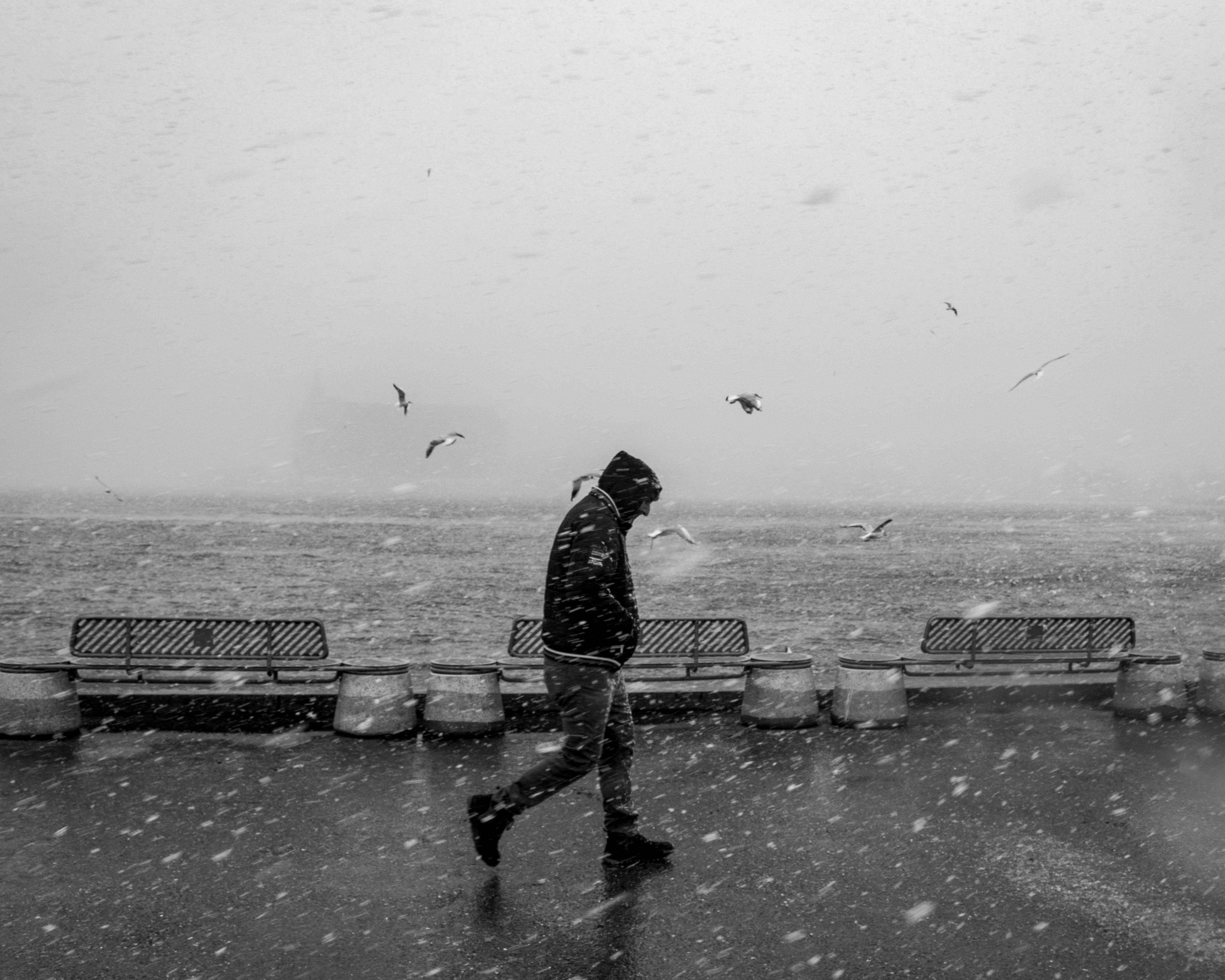 I've always felt alone learning a new language until I tried this language learning app — Photo by İrem Dur on Pexels