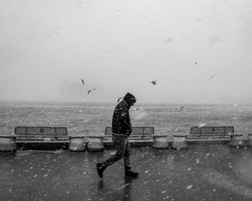 Free A person walking alone by the waterfront during a snowy winter storm, seagulls flying nearby. Stock Photo