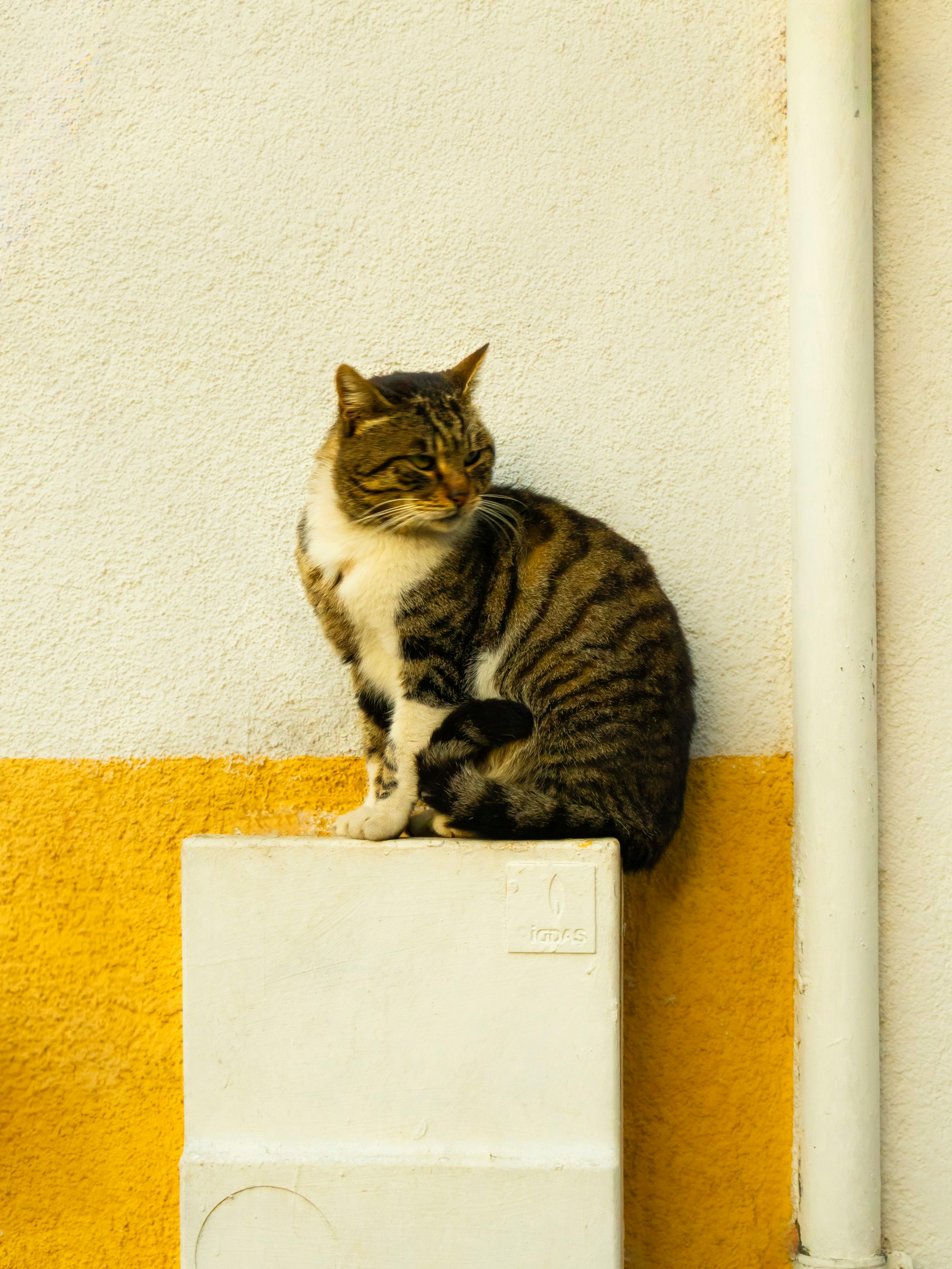 Wo Kann Man Österreich Türkei Sehen? Ultimative Tipps Enthüllt! 15 Österreich Türkei Live Kommentar: Die Besten Webseiten Für Echtzeit Updates