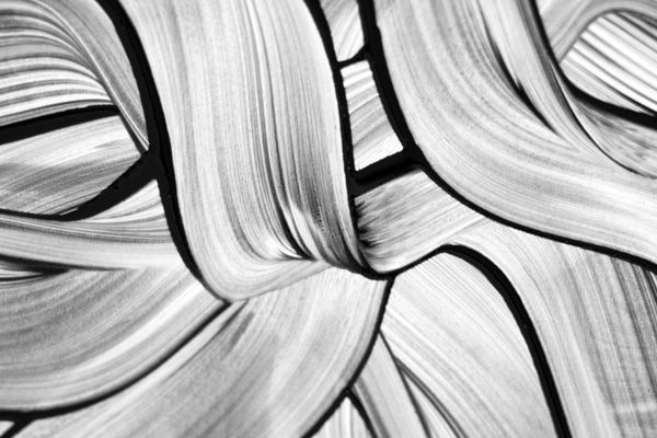 Brushed monochrome forms — Landiva Weber on Pexels