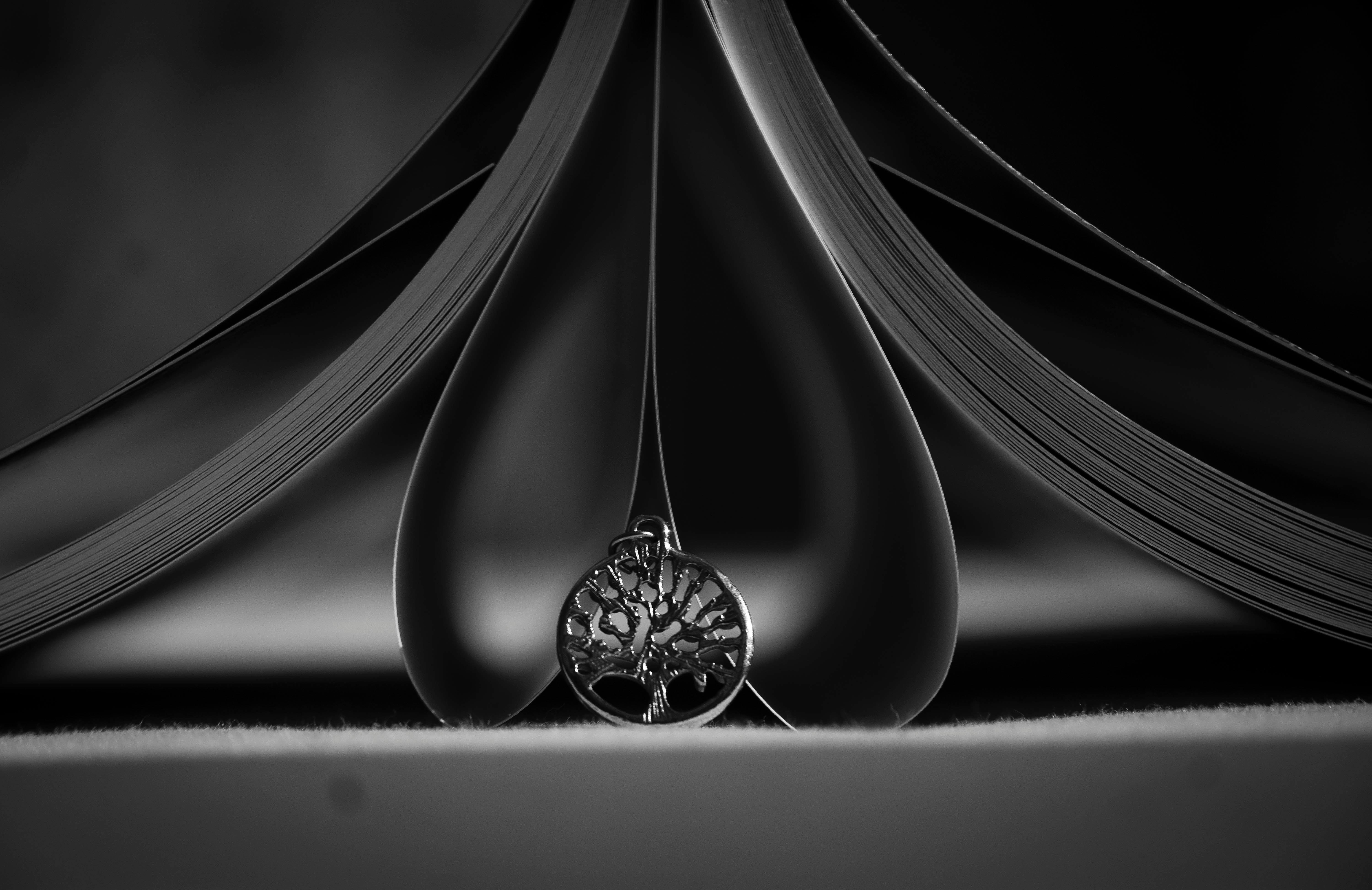 De franc Captura artística d'un penjoll d'arbre emmarcat per pàgines de llibre, que evoca misteri. Foto d'estoc