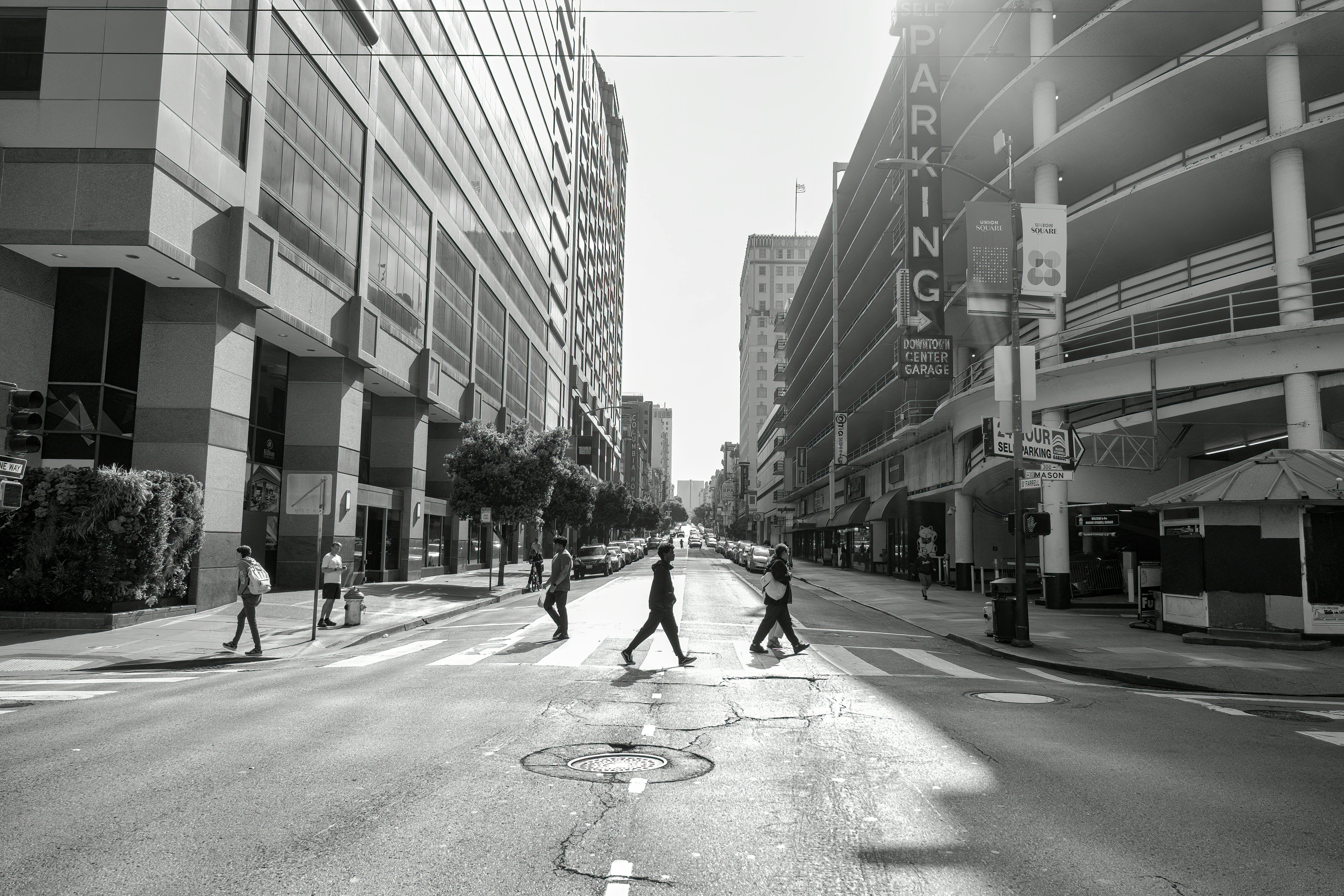 civic life examples — Photo by Tom Fisk on Pexels