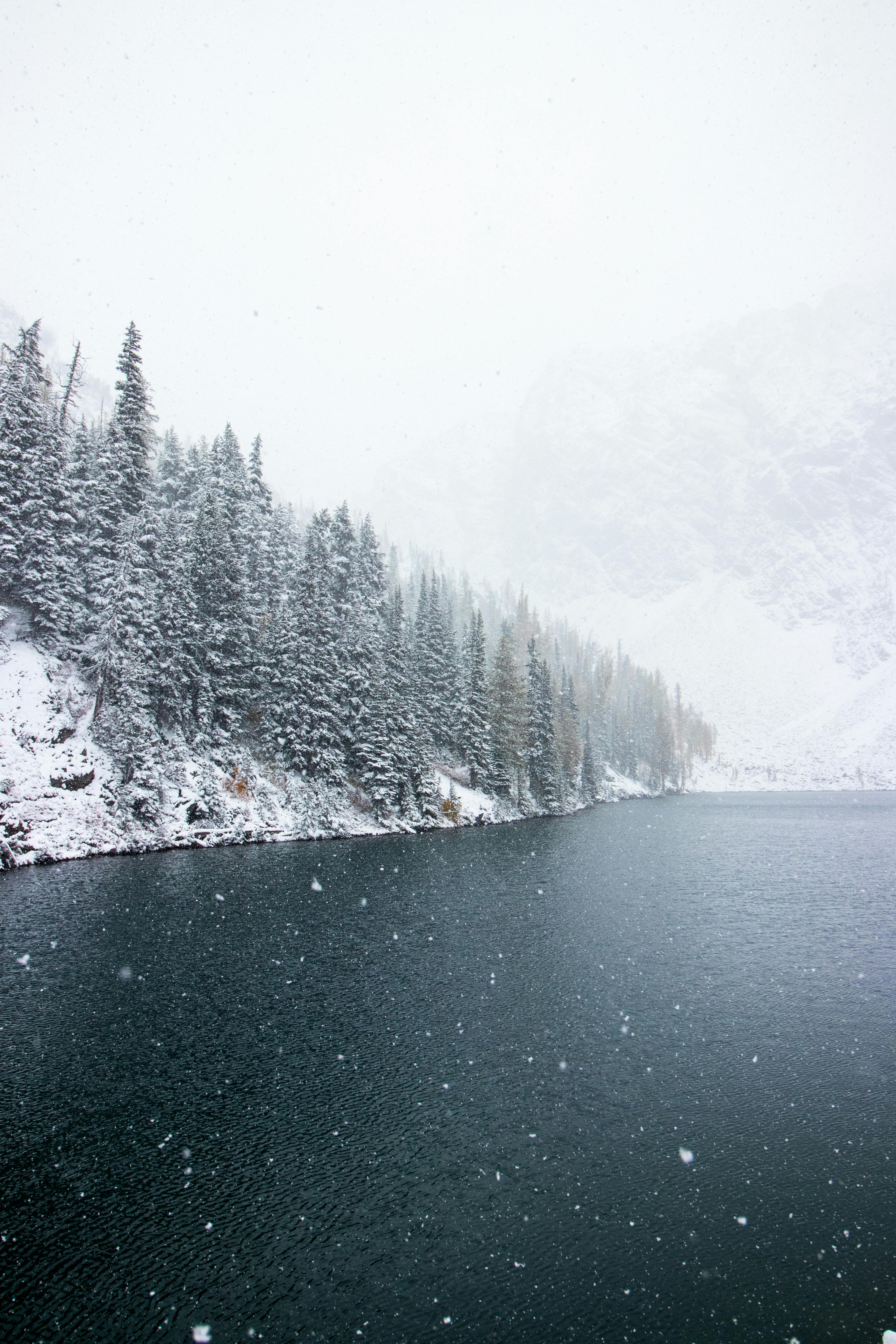 Peaceful snowy scene with pine forest and lake in the United States.