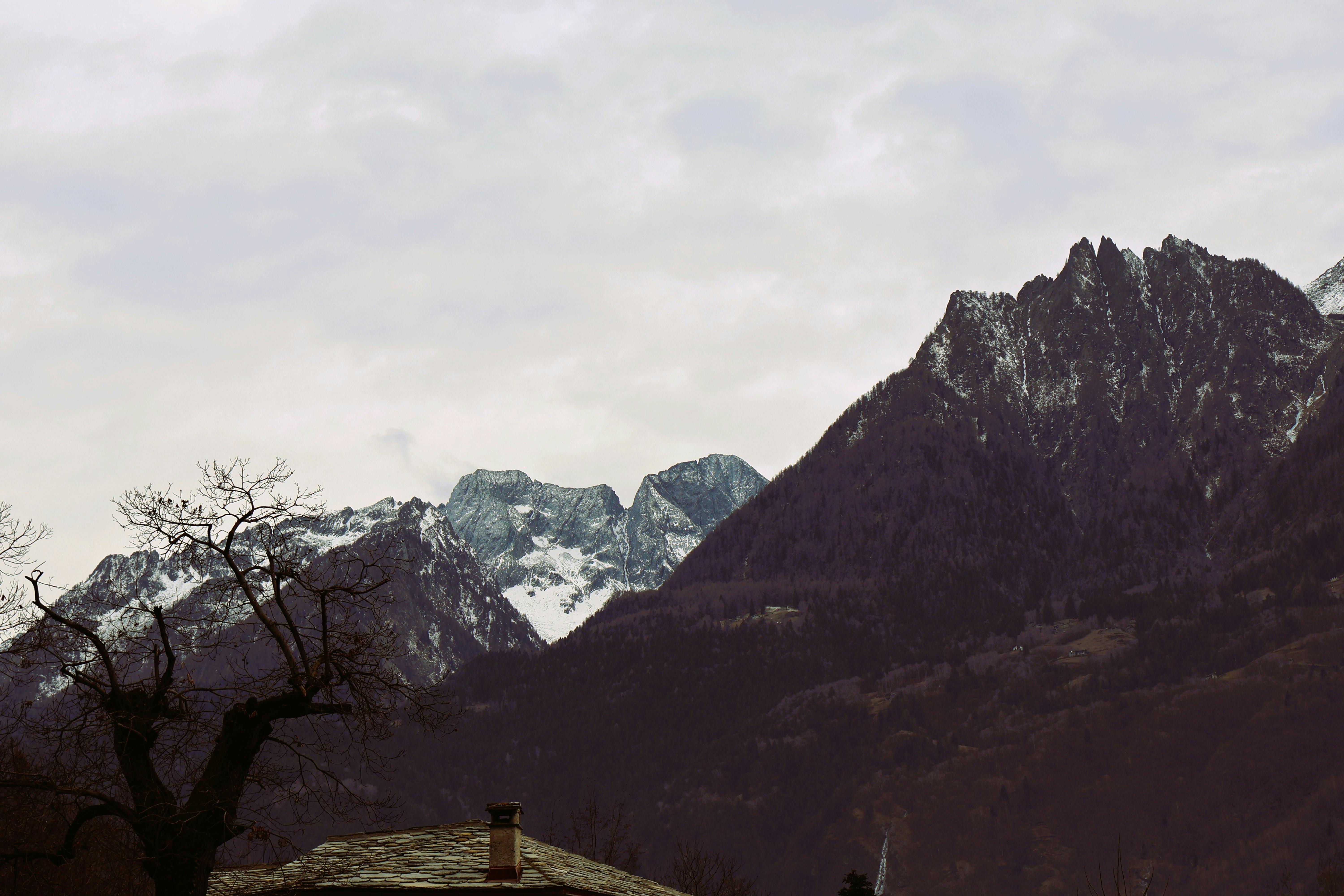 Wanderlust