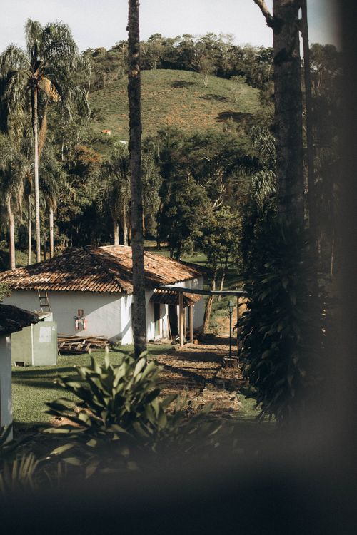 Free Charming countryside house surrounded by tall palm trees and lush hills. Stock Photo