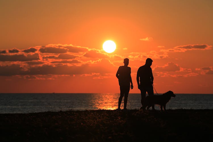 Silhouette Of Two Men Standing On Seaside With A Dog At Sunset