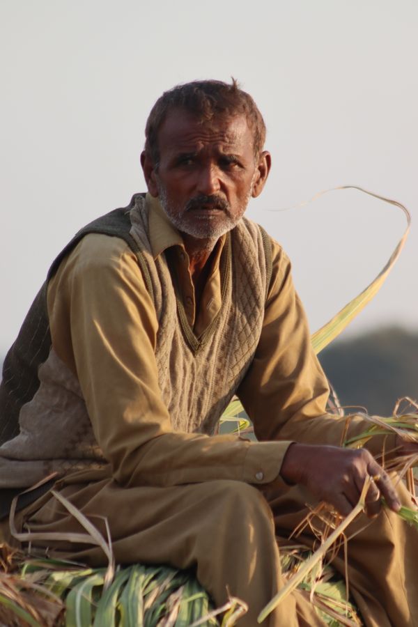 Portrait of a farmer standing in his field — Dr Photographer on Pexels