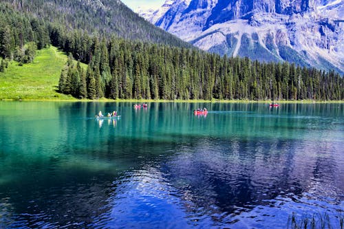 Orang Yang Mengendarai Kano Di Danau Di Samping Pepohonan