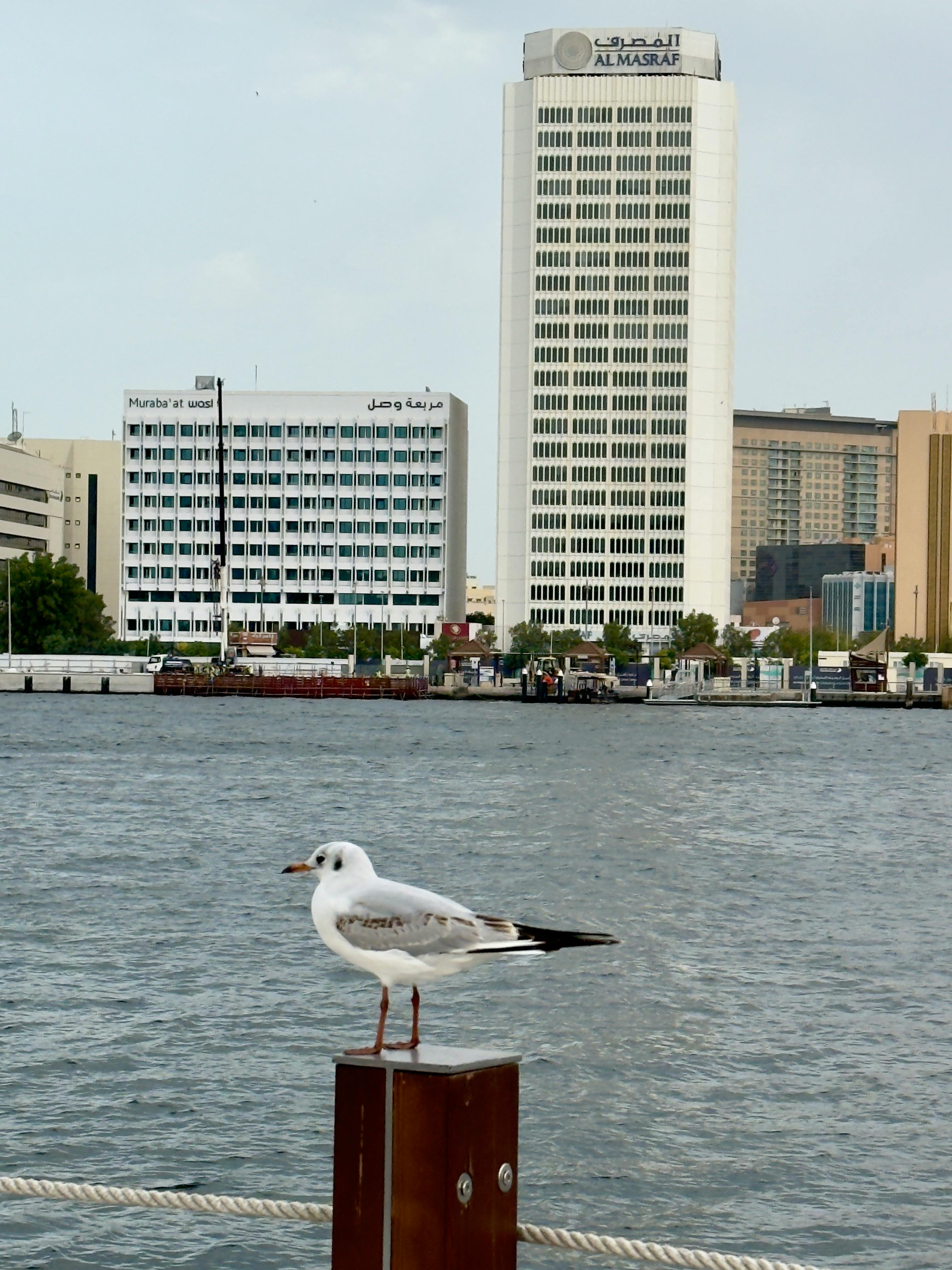 Travel destination image