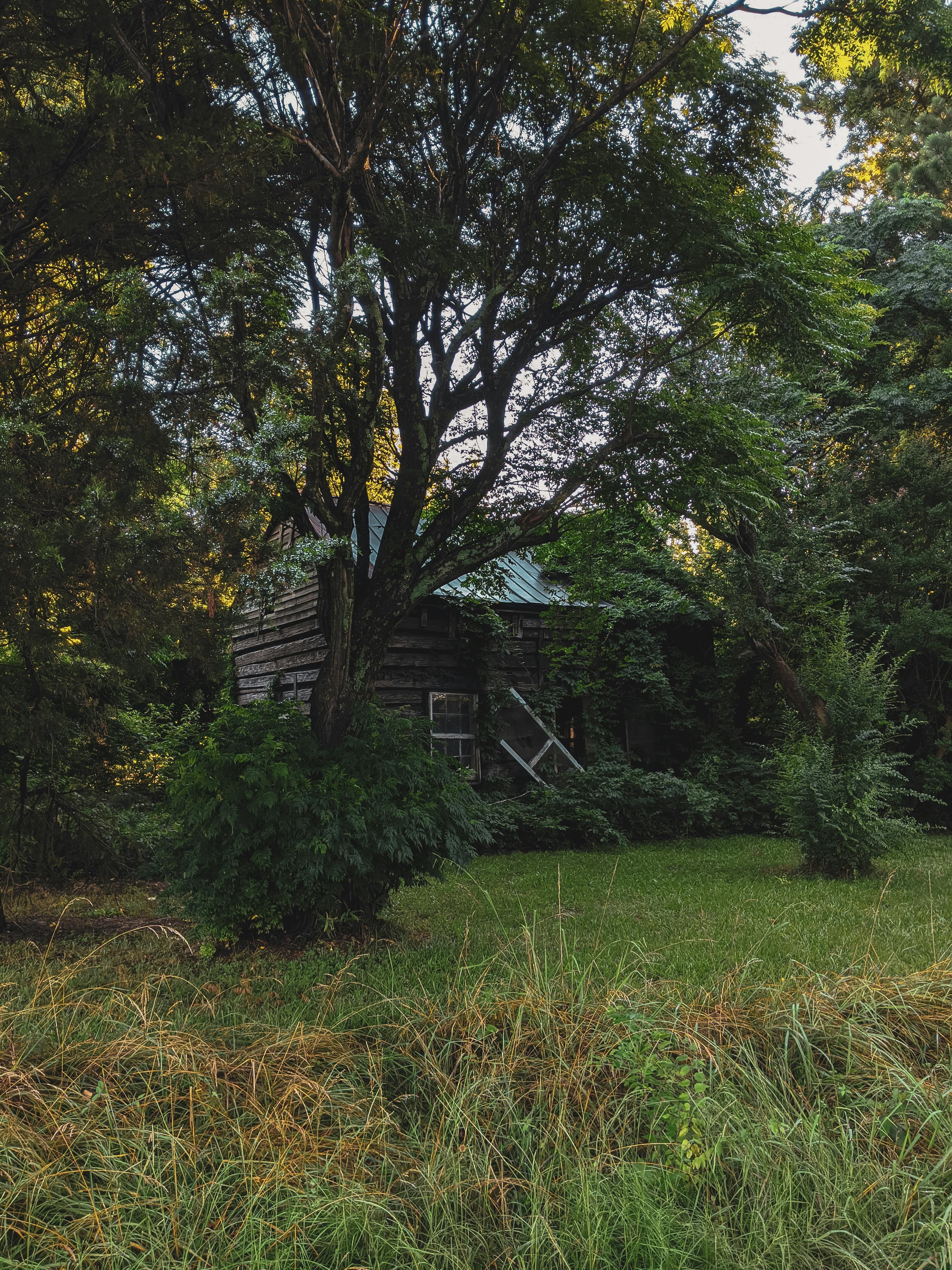 An abandoned house surrounded by overgrown greenery in a dense forest, exuding a mysterious charm.