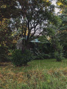 An abandoned house surrounded by overgrown greenery in a dense forest, exuding a mysterious charm.