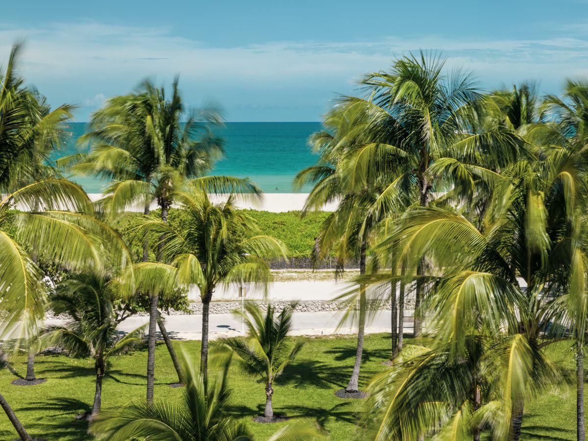 Carillon Miami Wellness Resort 2