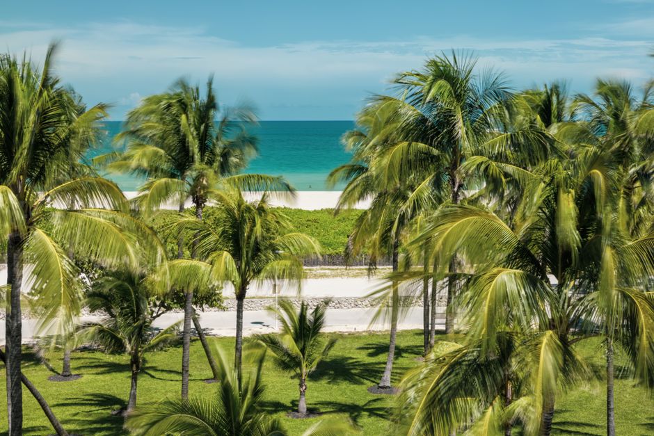 Palm Beach County Schools To Make Major Calendar Change 2 Palm trees sway against a backdrop of white sand and turquoise ocean in Miami Beach, Florida. | BocaVibe