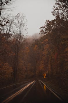 薄雾笼罩的秋天，驶过烟雾弥漫的山脉，落叶充满活力