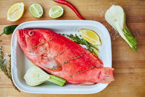 Free A fresh red grouper fish placed on a tray with herbs, lemon, and fennel for cooking preparation. Stock Photo