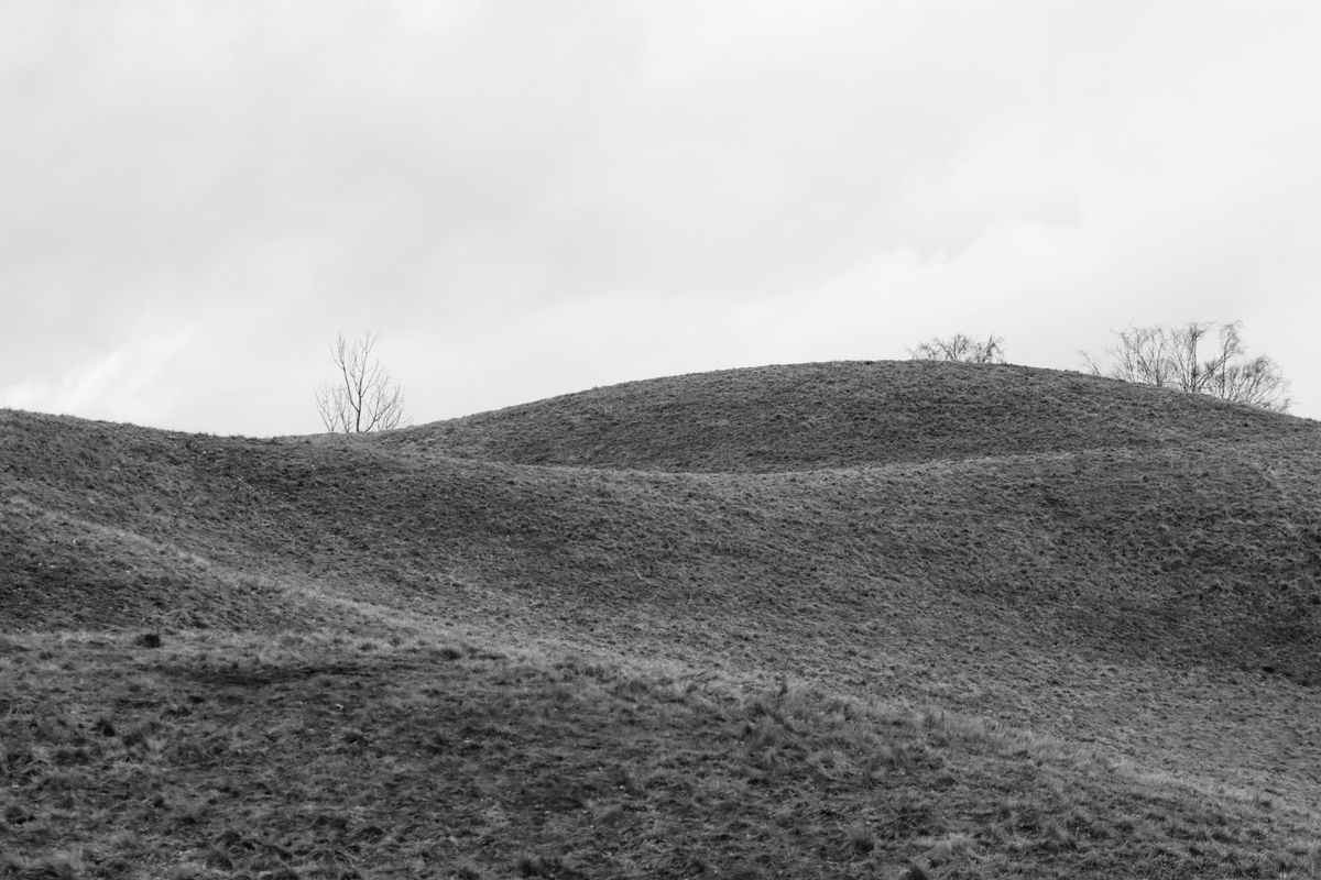Rolling green hills in Sweden — the soft pastoral landscape that defines the southern Swedish countryside around Österlen