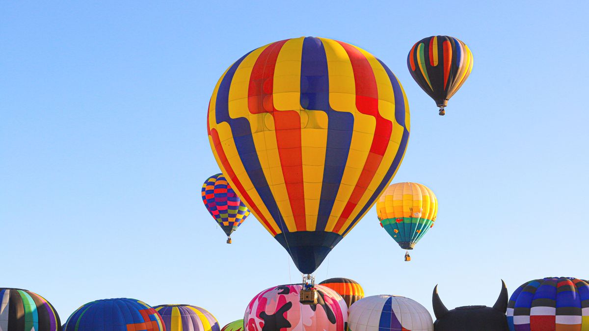 Albuquerque, NM Family Giveaways Near Me: Where to Find Legit Deals
