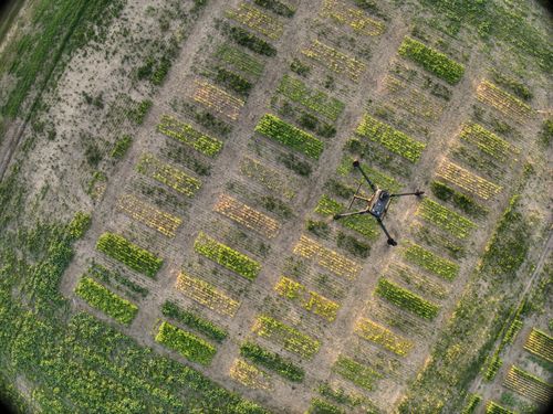 Free Drone over fields Stock Photo