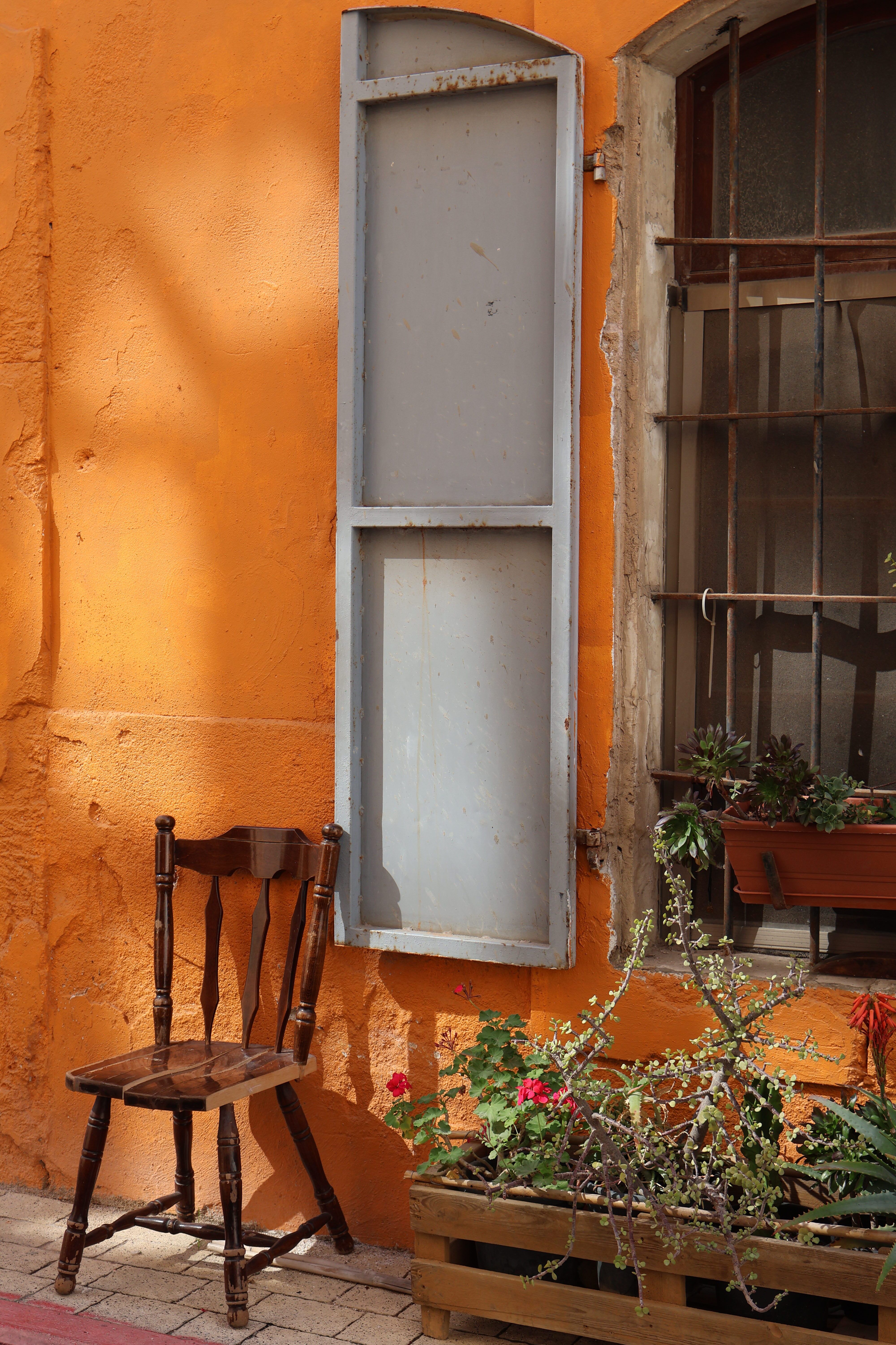 Inviting Texture Photos, Download The BEST Free Inviting Texture Stock ...