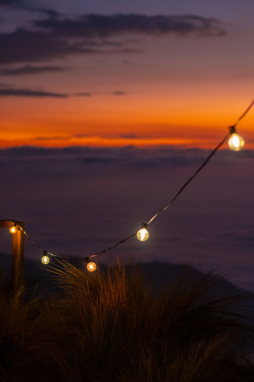 Sunset String String Lights at Sunset Overlooking the Ocean · Free Stock Photo
