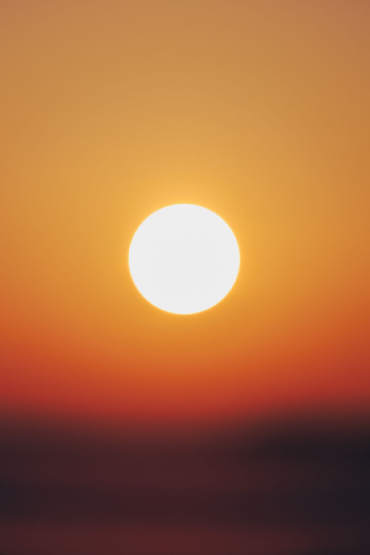 Sun No Background Photos, Download The BEST Free Sun No Background ...