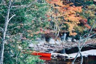 在加拿大新斯科舍省，一个宁静的秋天场景出现在湖边，那里有五颜六色的树叶和一只红色的独木舟