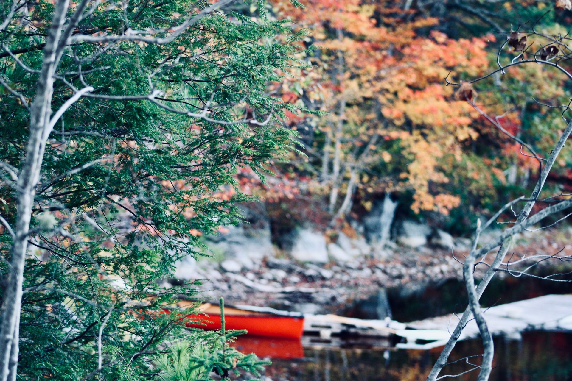 A Lake With Fall Foliage Background