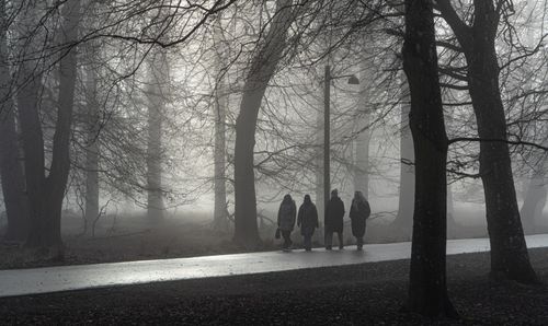 Free Silhouettes walking through a misty forest path in winter Klampenborg. Stock Photo