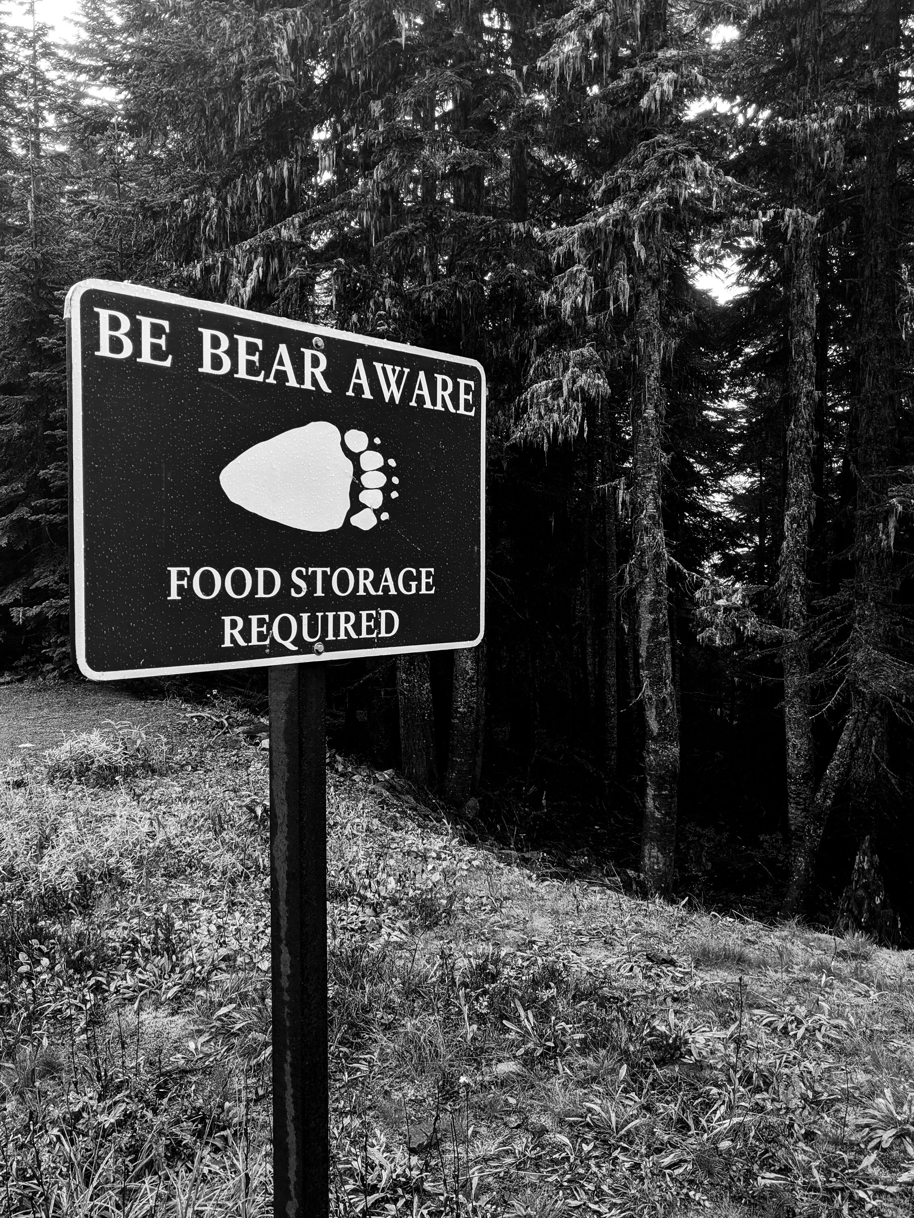 Sign in forested area emphasizing bear safety and food storage requirements.