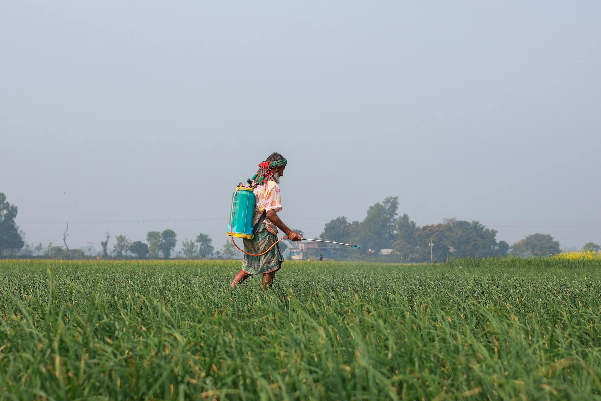 Free stock photo of agribusiness, agricultural practice, agricultural worker