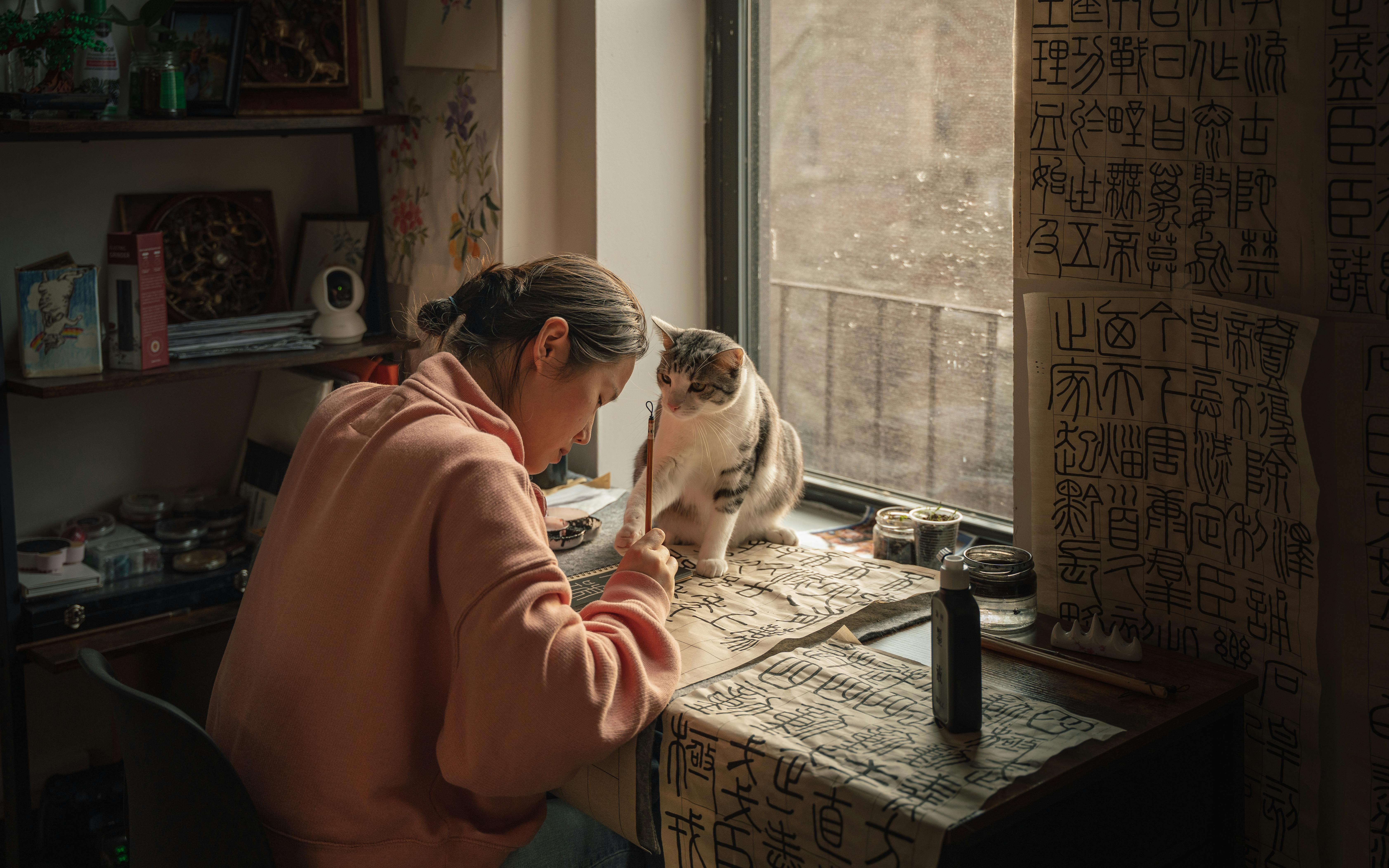 Indoor Artistic Scene with Calligraphy and Cat · Free Stock Photo