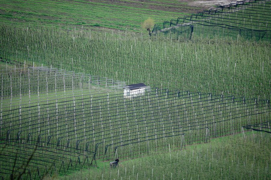 Moderniza tu explotación agrícola con ayudas a la inversión