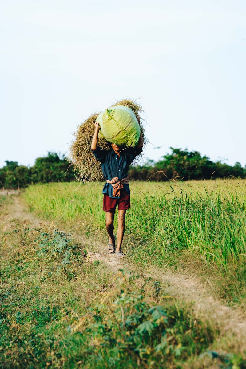 Xuất khẩu nông lâm thủy sản 2 tháng đầu năm tăng 17,1%