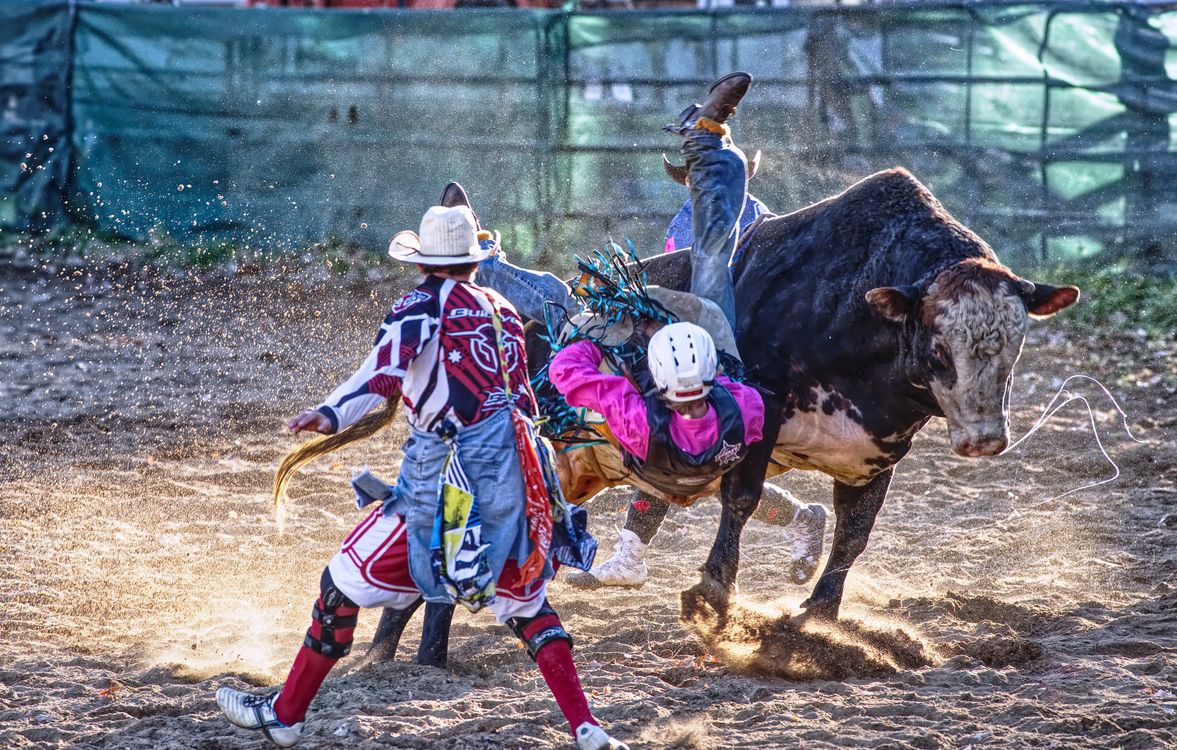 Montria Rodeio Captura De Ação De Rodeio De Montaria Em Touro · Foto profissional gratuita