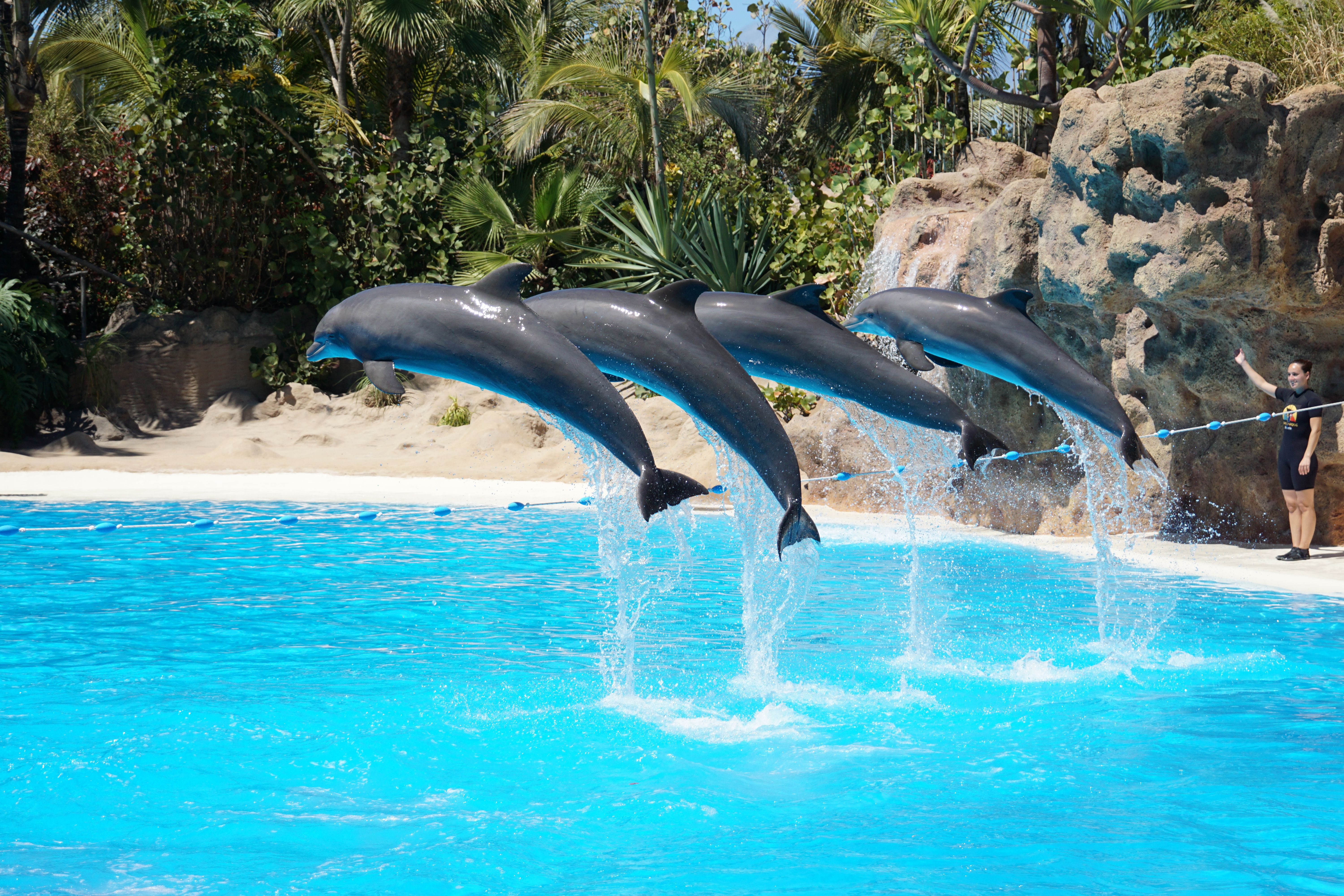 SeaWorld Orlando
