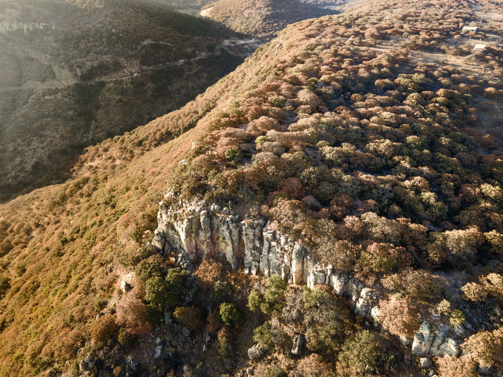Aerial view of an autumn ridge line — photo by Amar Preciado on Pexels
