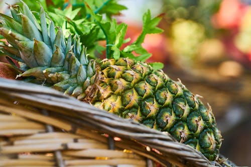 Kostnadsfri bild av ananas, bokeh, färsk