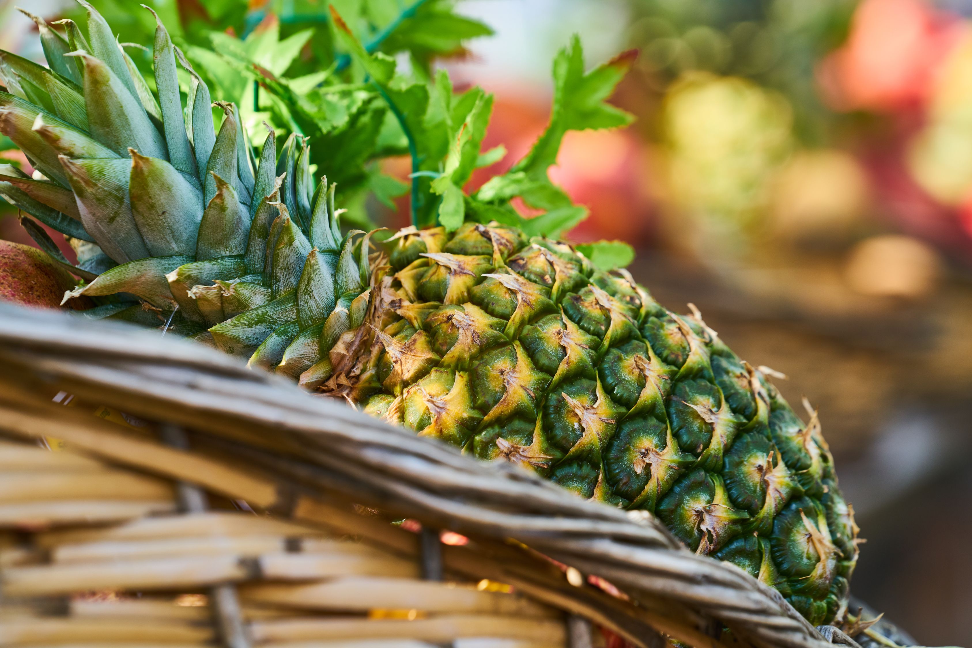 Nahaufnahmefoto Der Ananas Kostenloses Stock Foto nahaufnahmefoto-der-ananas-kostenloses-stock-foto