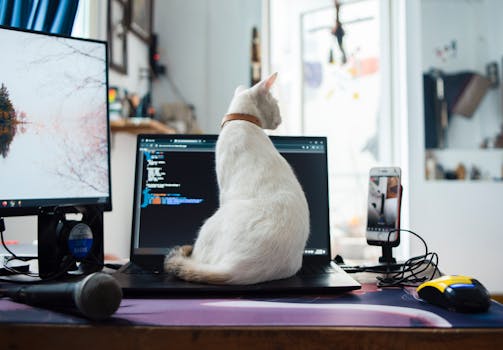 Mengapa Mengapa Kinerja PC dan Laptop Menurun? Terjadi dan Solusinya - Featured Image