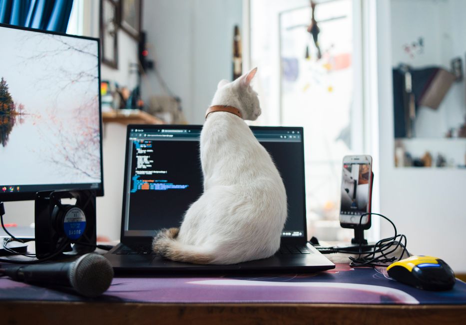マイクロソフト、「Build 2026」で「Linux」関連製品を多数発表(ZDNET Japan)