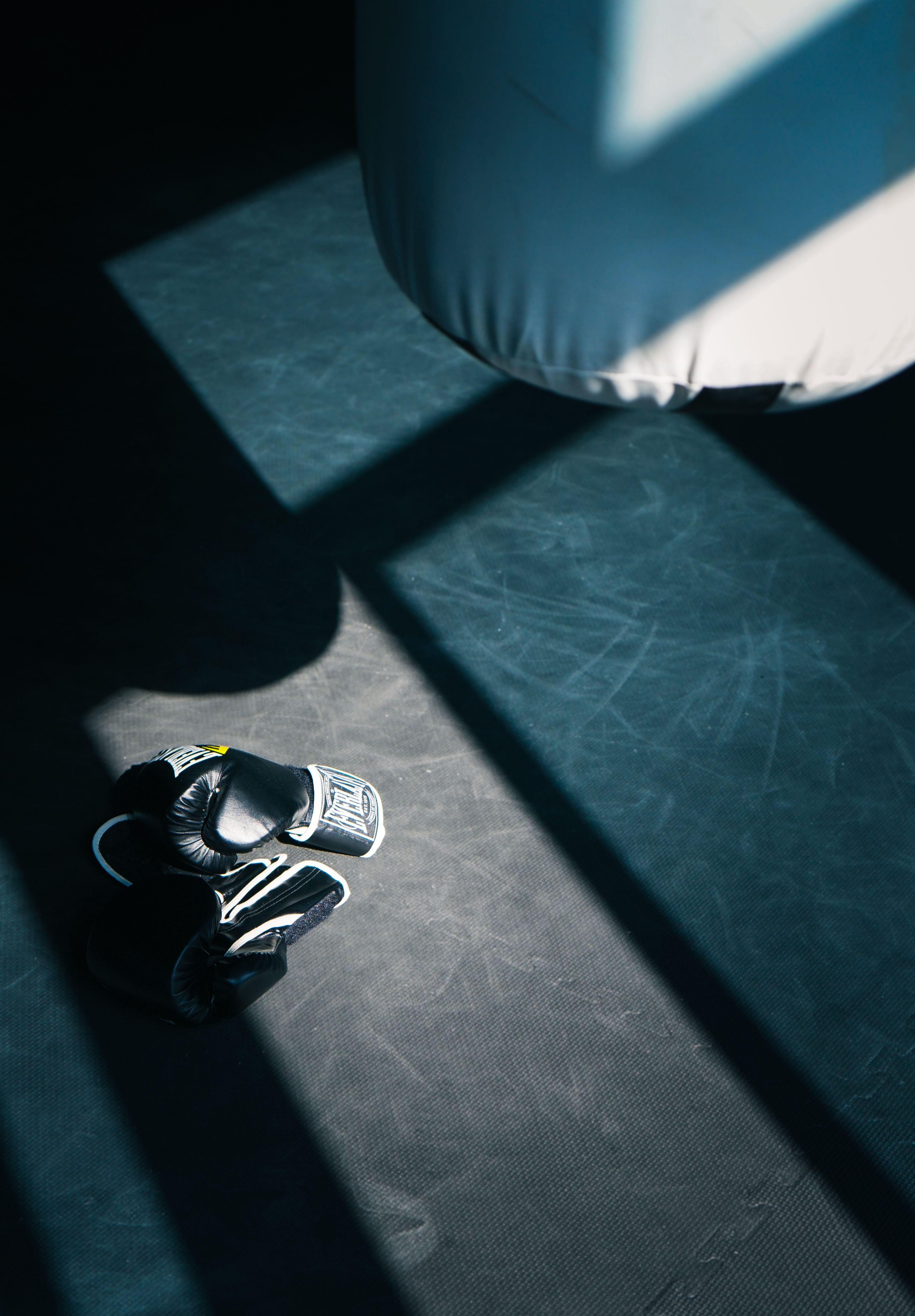 Boxing gloves and punching bag in a sunlit gym