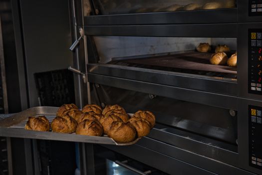 Golden-brown artisan bread fresh from the oven in a Berlin bakery, showcasing fine baking craft.