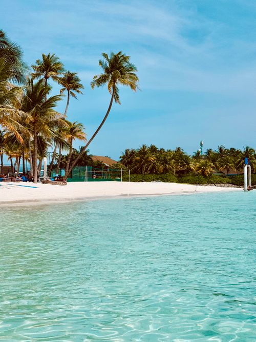 Free Idyllic white sand beach with coconut palms and crystal clear waters in the Maldives. Stock Photo