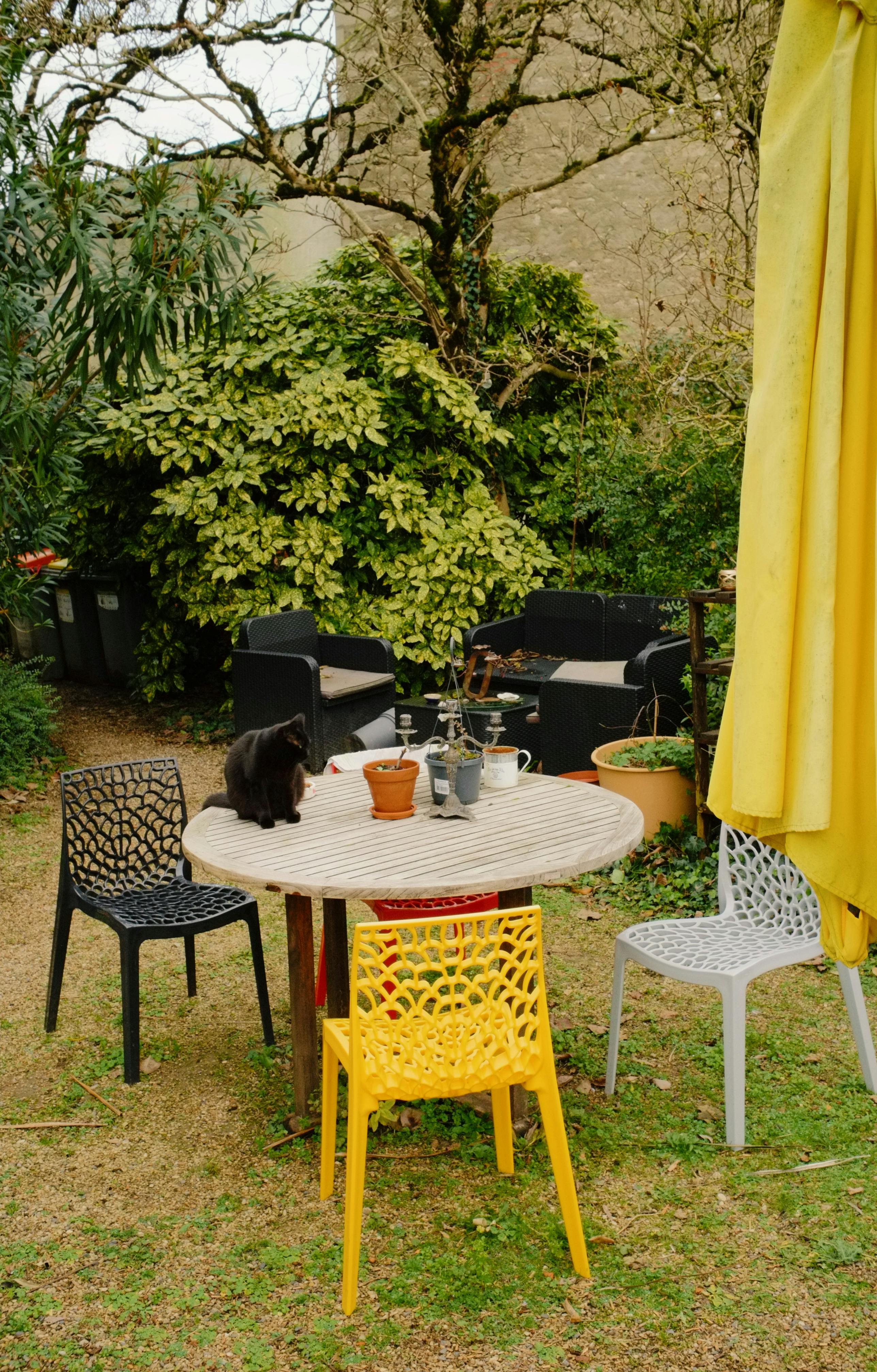 A cozy backyard scene with chairs, table, and a black cat, surrounded by greenery.