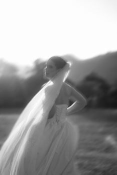 Artistic outdoor portrait of a bride in a wedding dress with veil.