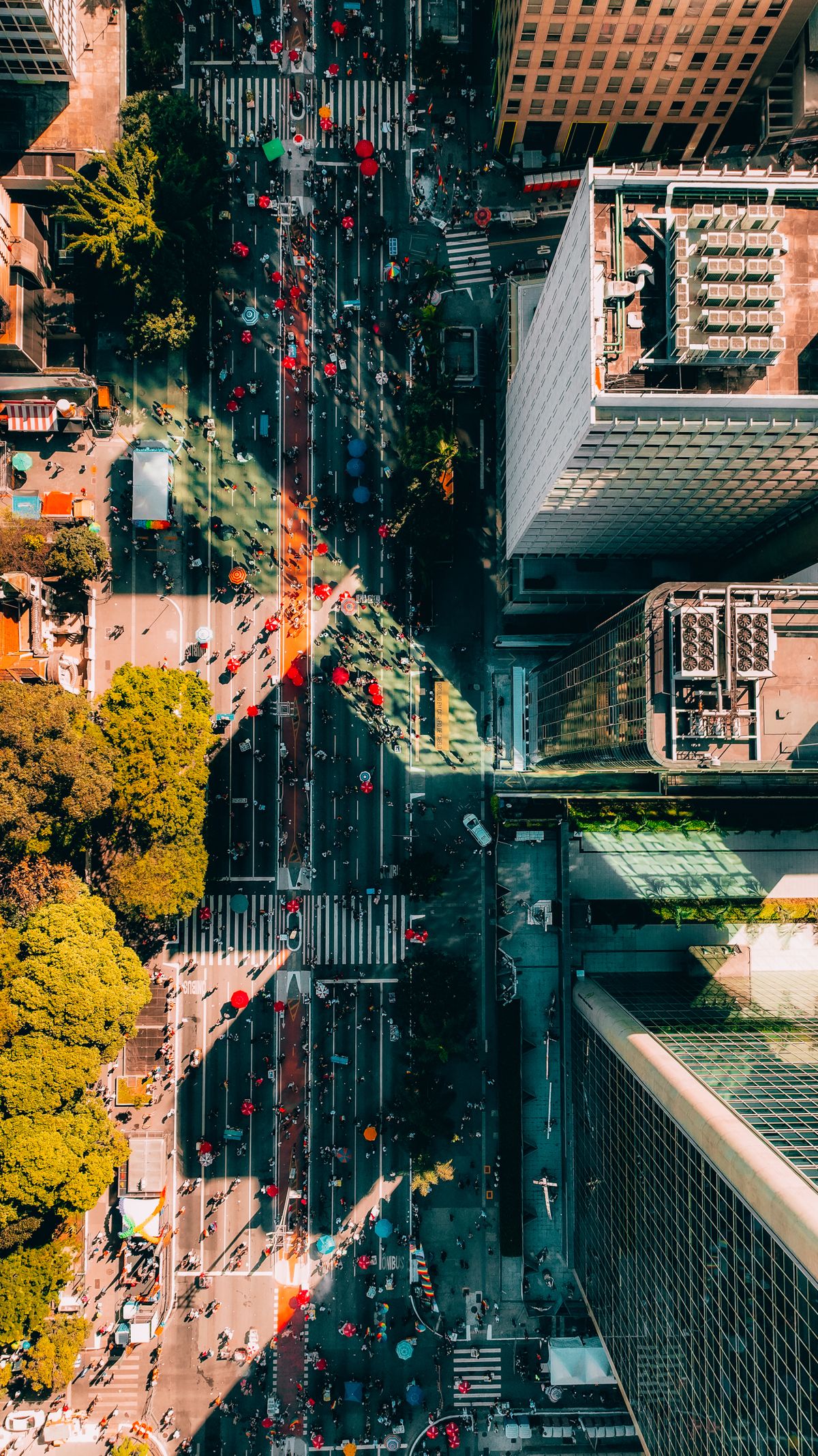 Aerial View of Bustling City Streets and Skyscrapers · Free Stock Photo
