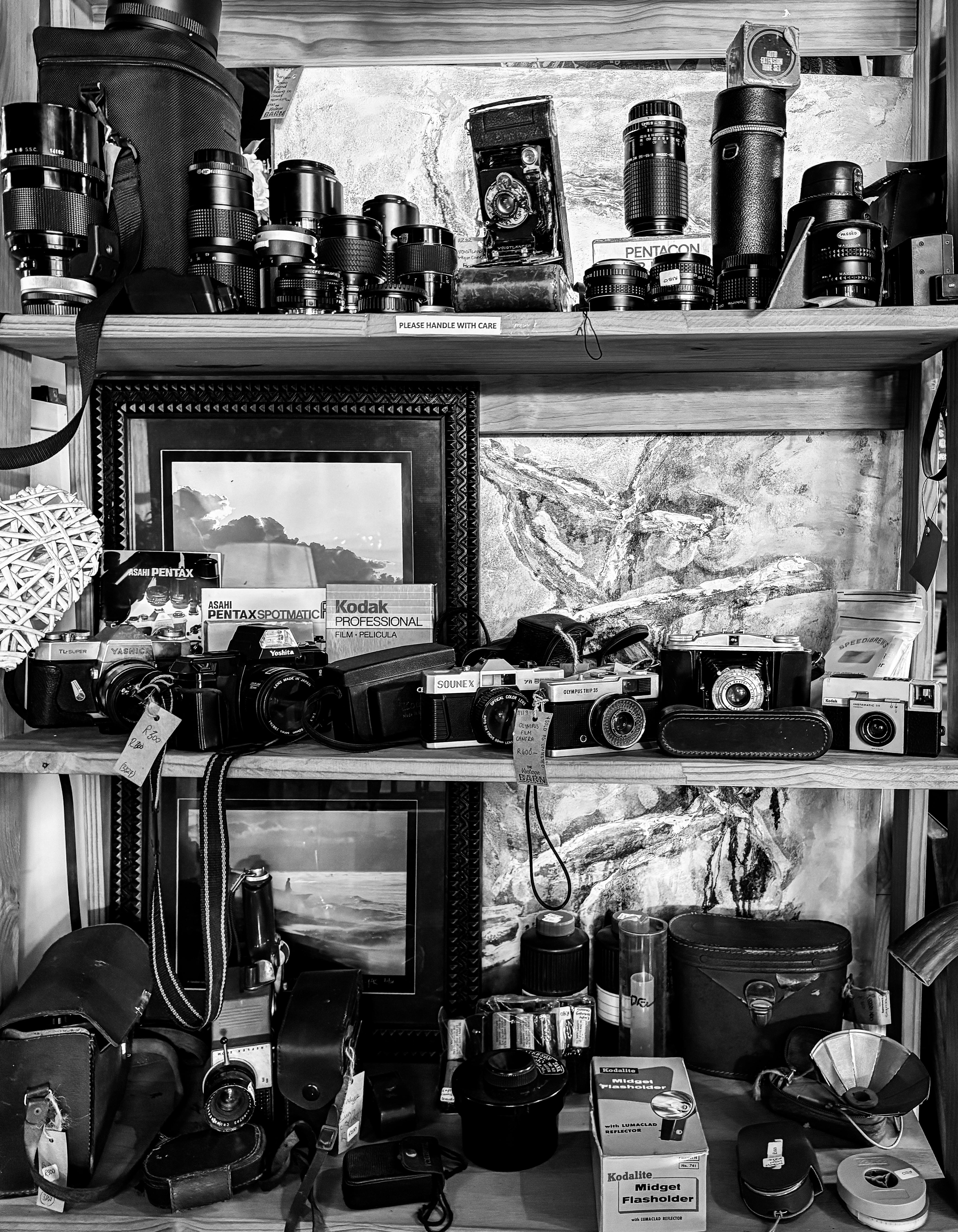 Black and white photo showcasing a collection of vintage cameras and lenses on shelves.
